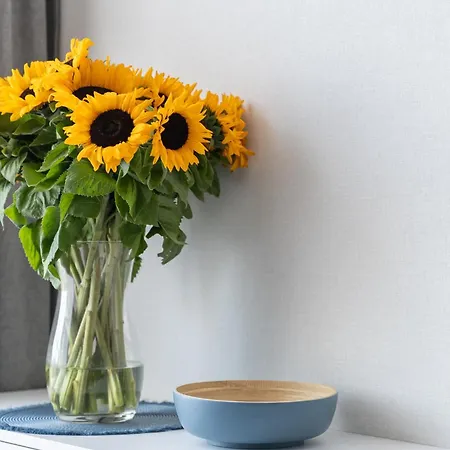 Διαμέρισμα Your Holidays Bel Mare Ii *